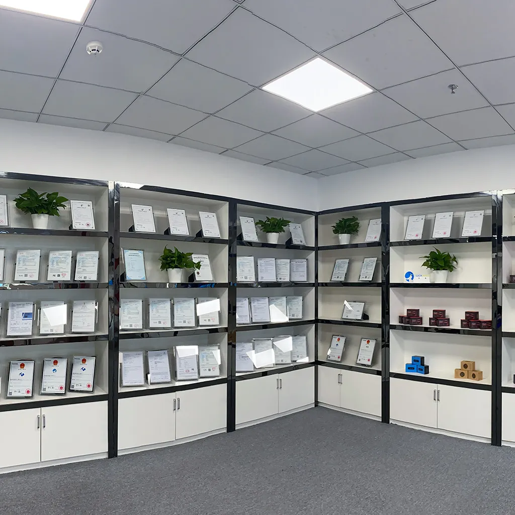 anywii_showroom