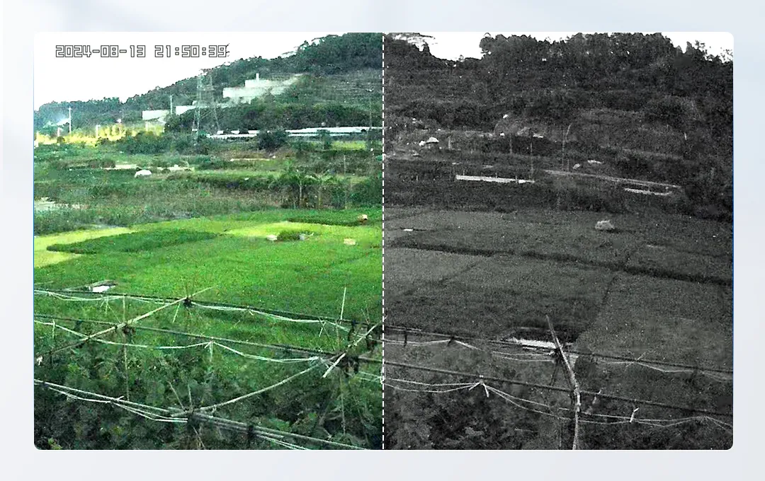 Starlight night vision technology make image at night same as at day